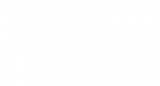 Betting Trends: The Changing Face of Donk Bets